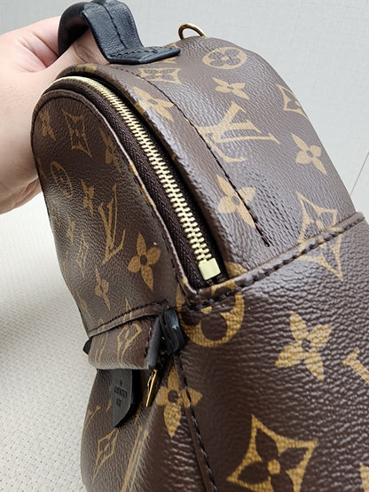 LV Monogram Mini Palm Springs
