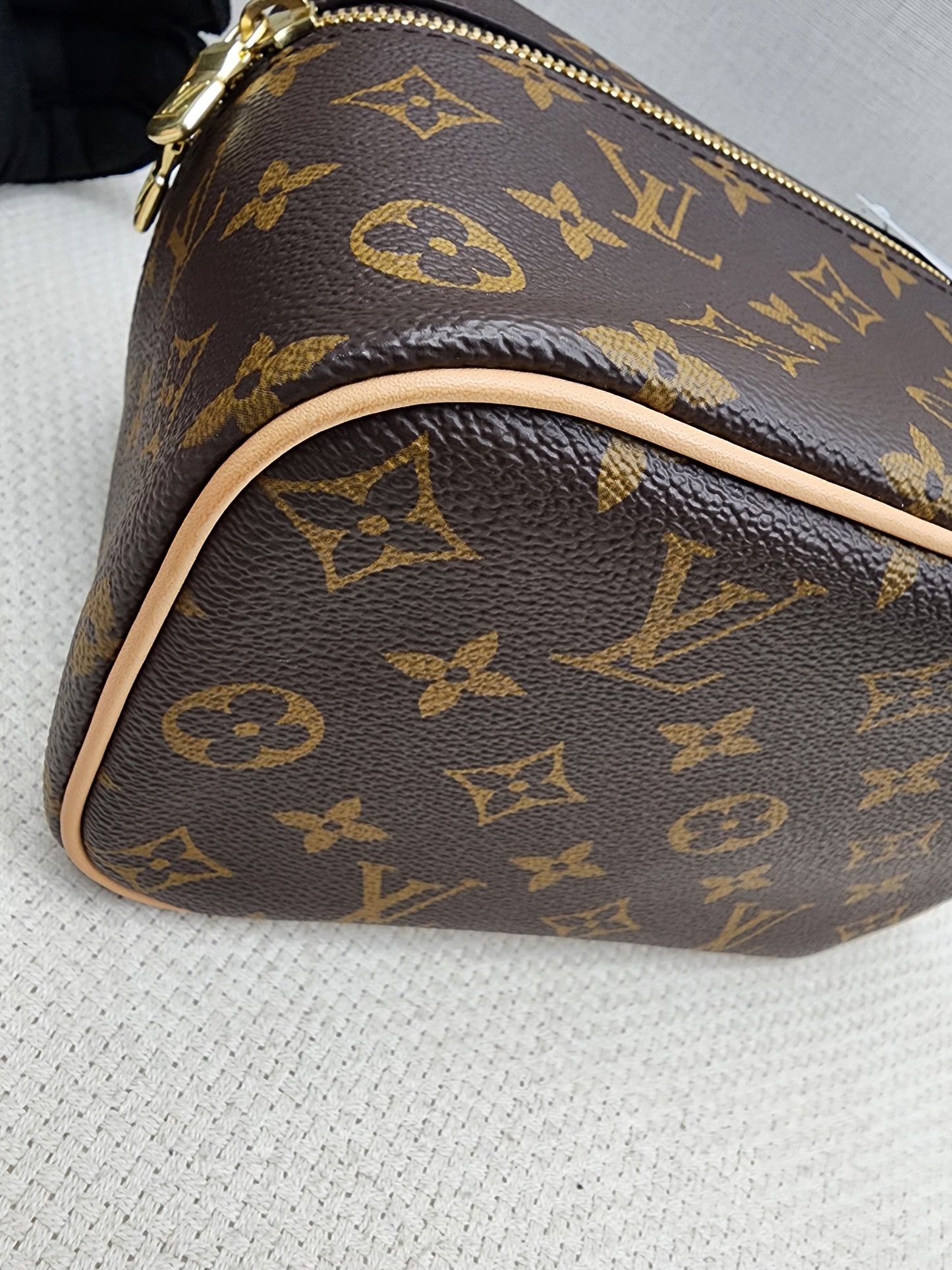 LV Monogram Nice Mini
