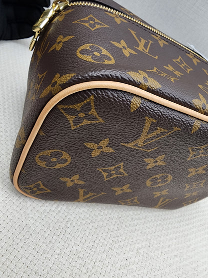LV Monogram Nice Mini