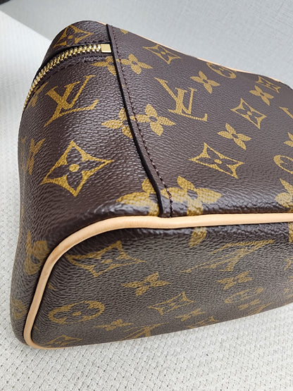 LV Monogram Nice Mini