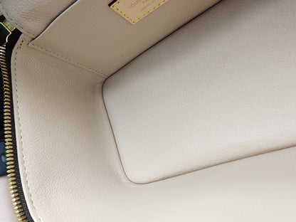 LV Monogram Nice Mini