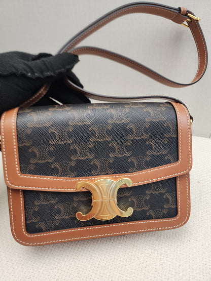 Celine Teen Triomphe Calfskin Crossbody Bag (GHW)
