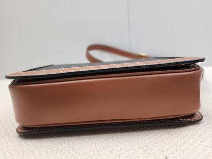 Celine Teen Triomphe Calfskin Crossbody Bag (GHW)