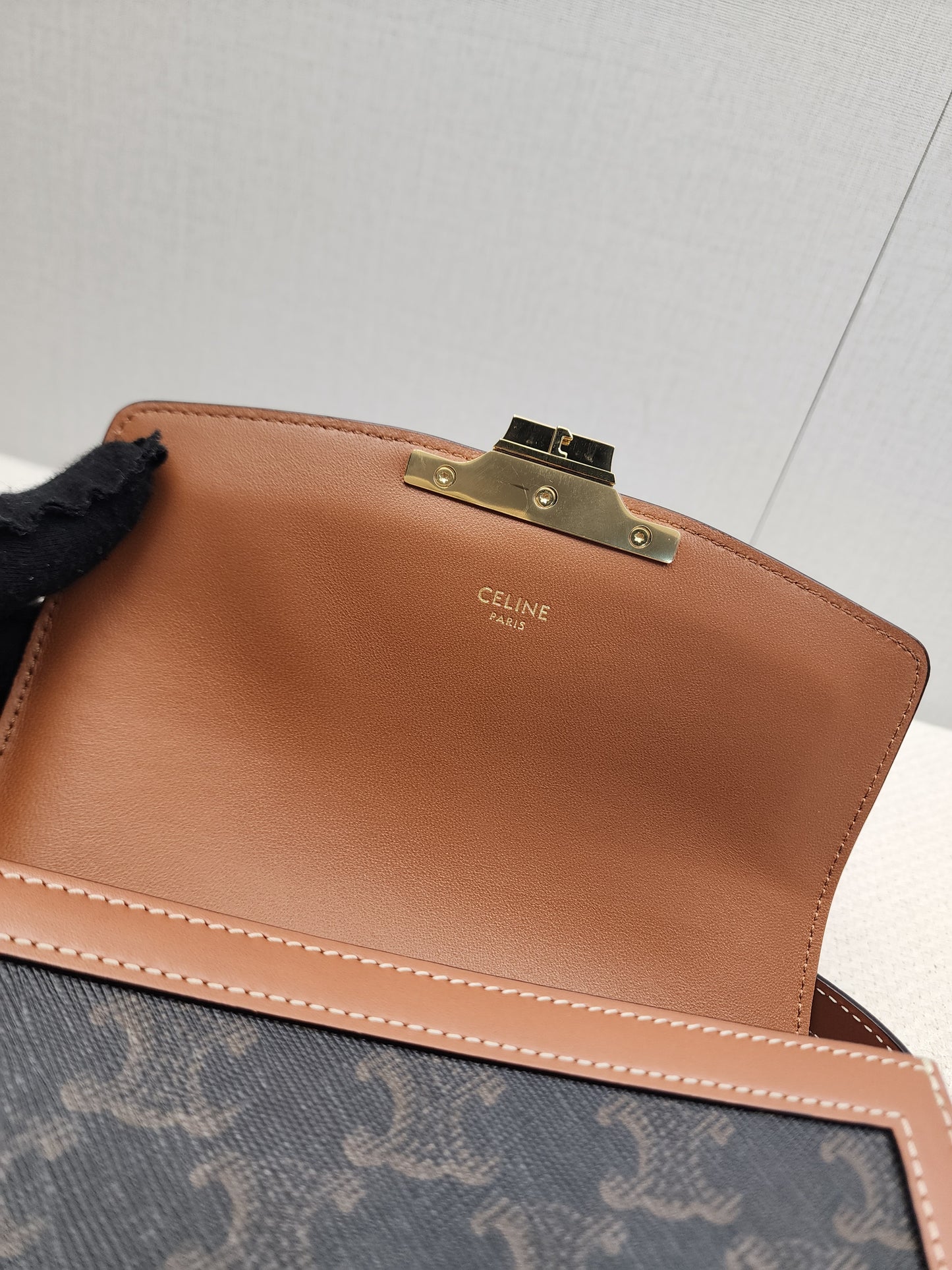 Celine Teen Triomphe Calfskin Crossbody Bag (GHW)