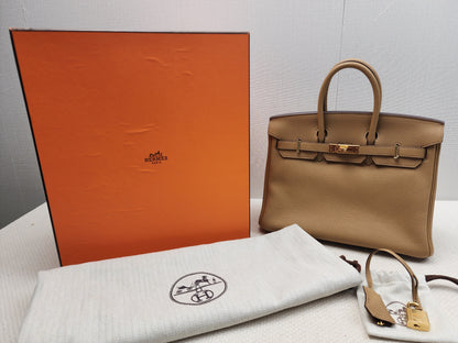 Hermes Biscuit Togo Birkin 25 (GHW)