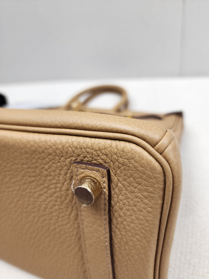 Hermes Biscuit Togo Birkin 25 (GHW)