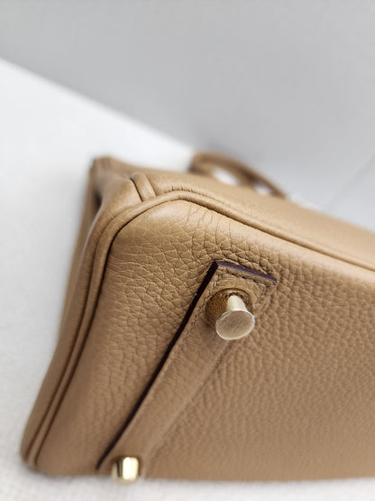 Hermes Biscuit Togo Birkin 25 (GHW)