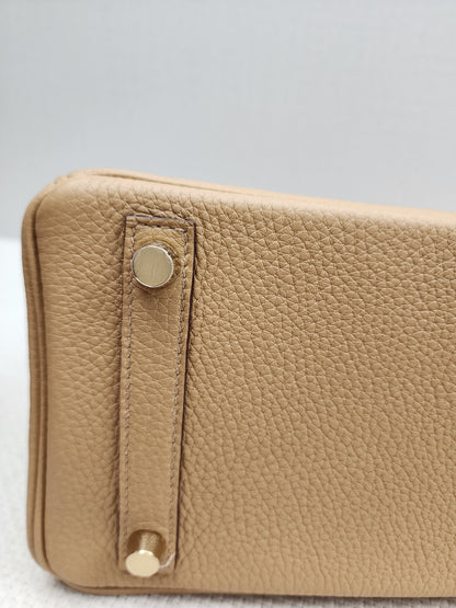 Hermes Biscuit Togo Birkin 25 (GHW)