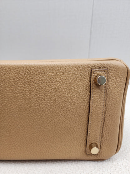 Hermes Biscuit Togo Birkin 25 (GHW)