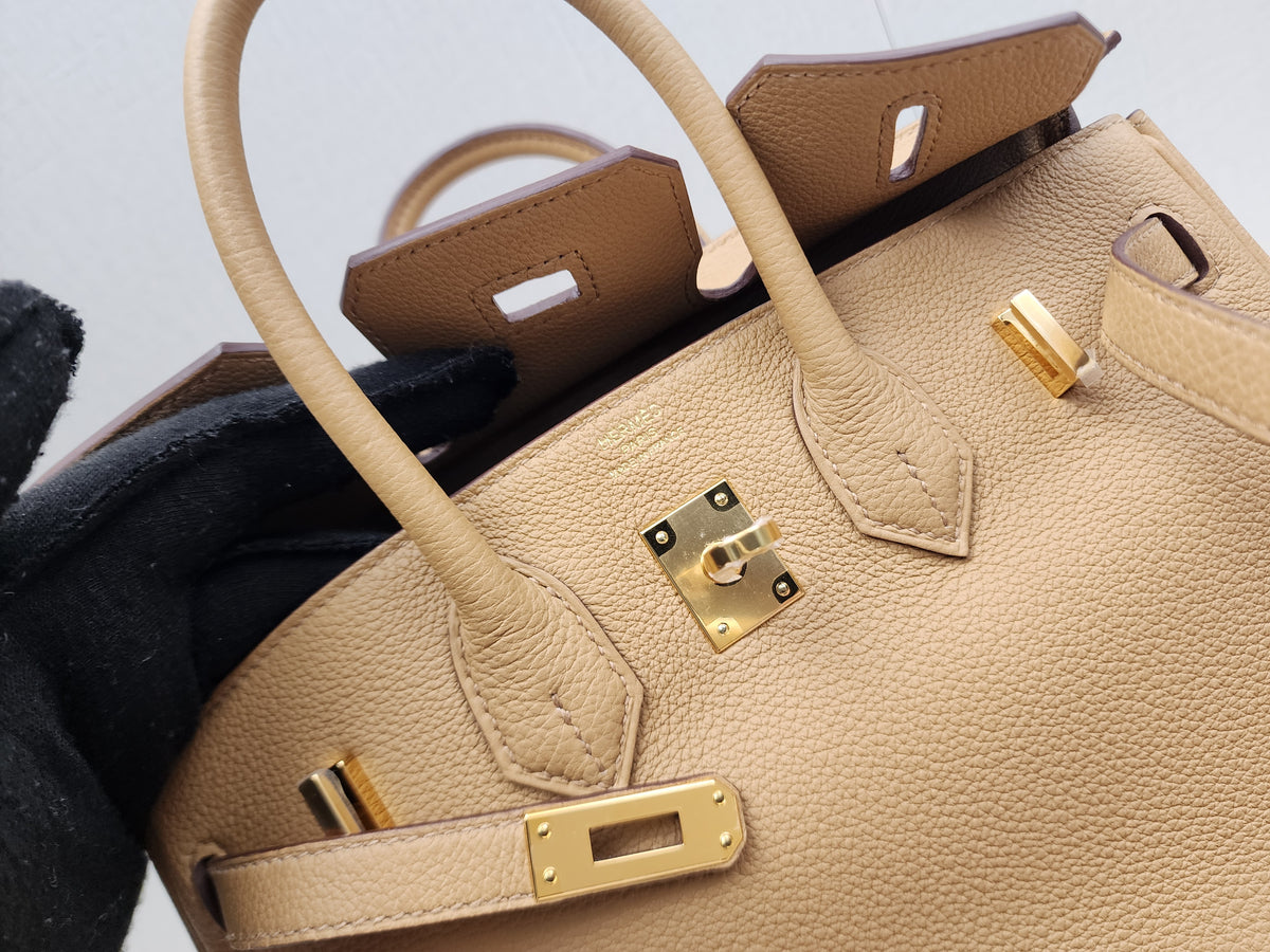 Hermes Biscuit Togo Birkin 25 (GHW)