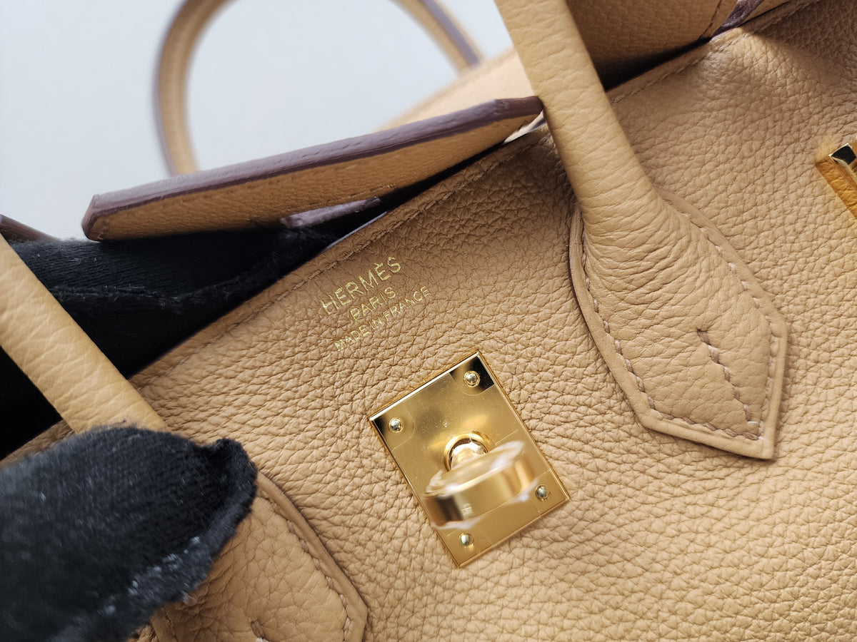 Hermes Biscuit Togo Birkin 25 (GHW)