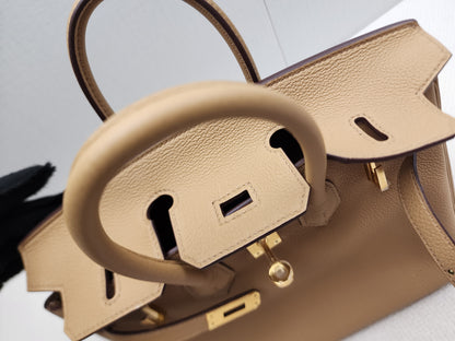 Hermes Biscuit Togo Birkin 25 (GHW)
