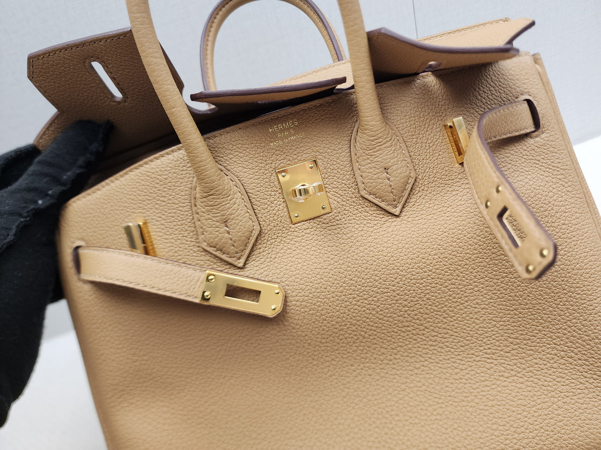 Hermes Biscuit Togo Birkin 25 (GHW)