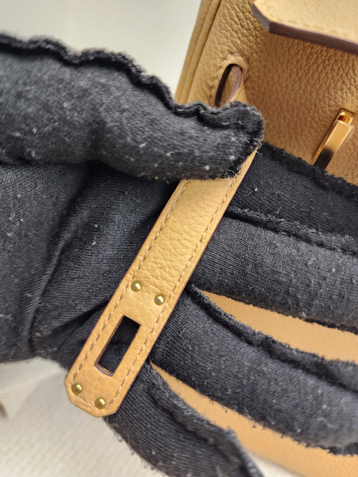 Hermes Biscuit Togo Birkin 25 (GHW)