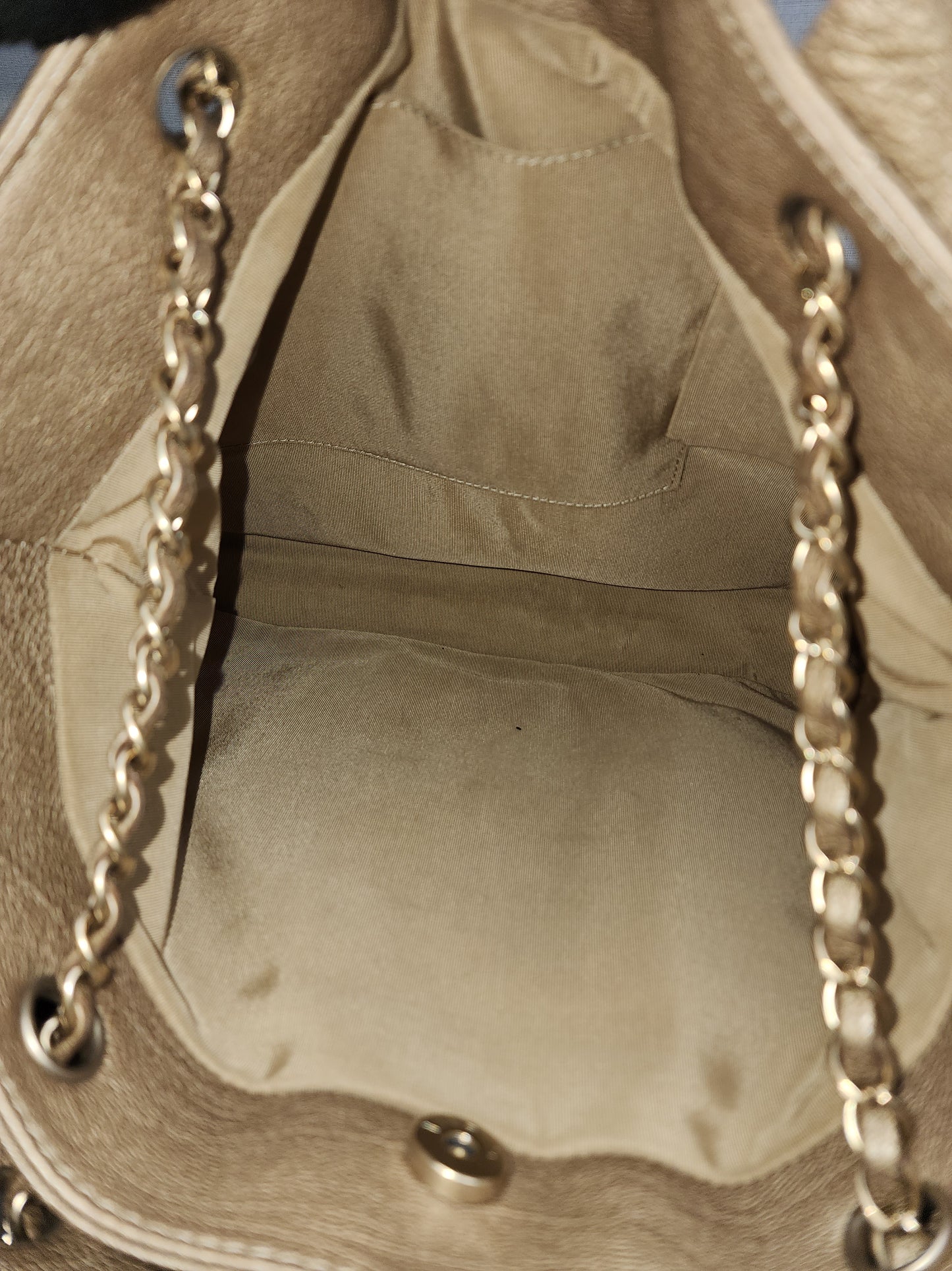 Chanel Metallic Gold Calfskin Large Trianon Tote (GHW)