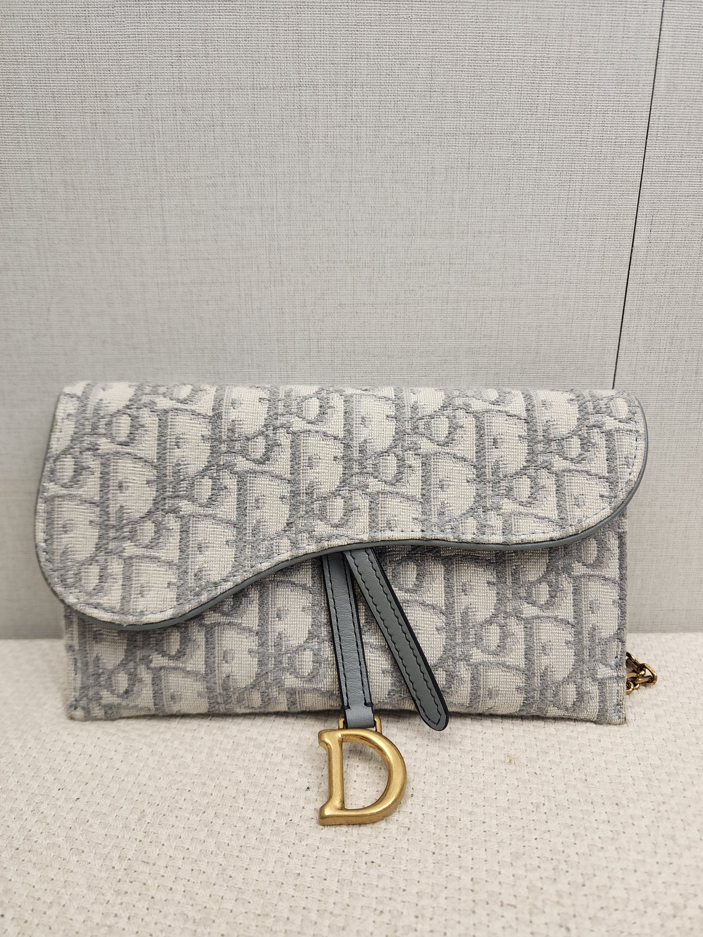 Dior Grey Oblique Canvas Saddle WOC (GHW)