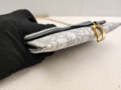 Dior Grey Oblique Canvas Saddle WOC (GHW)