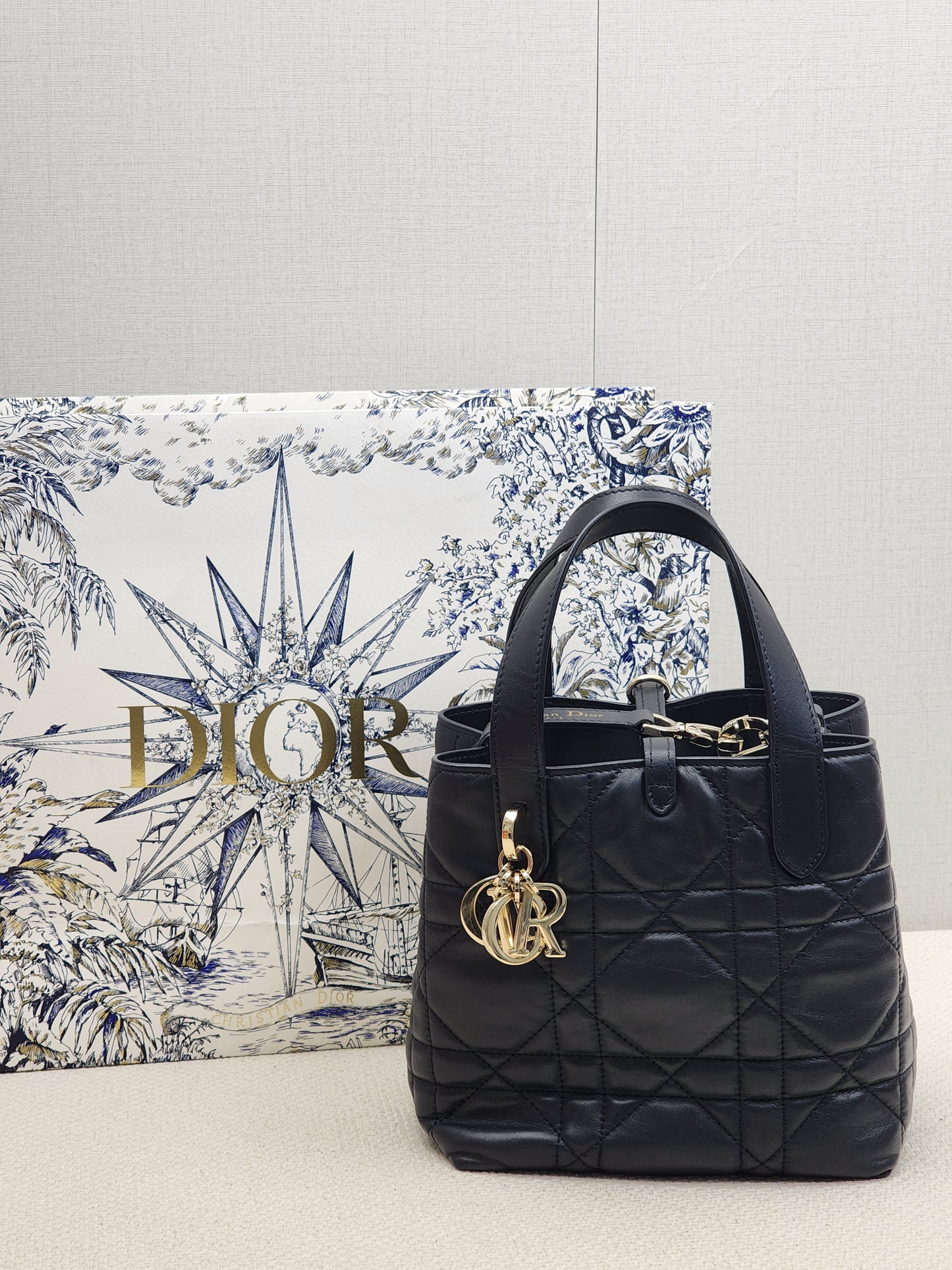 Dior Black Calfskin Small Toujours Vertical Tote Bag (LGHW)