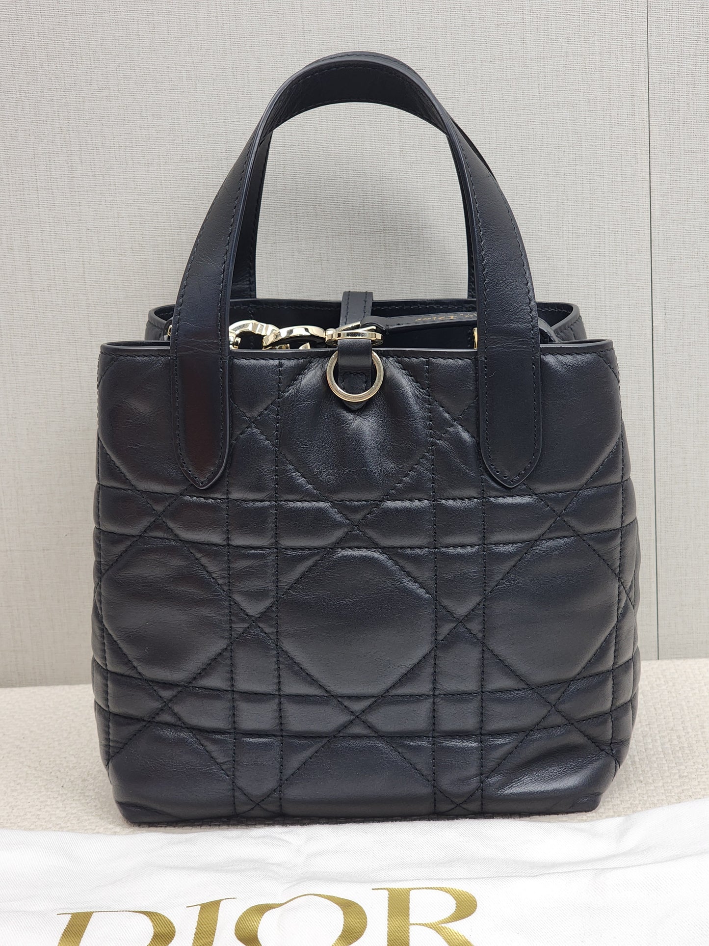 Dior Black Calfskin Small Toujours Vertical Tote Bag (LGHW)