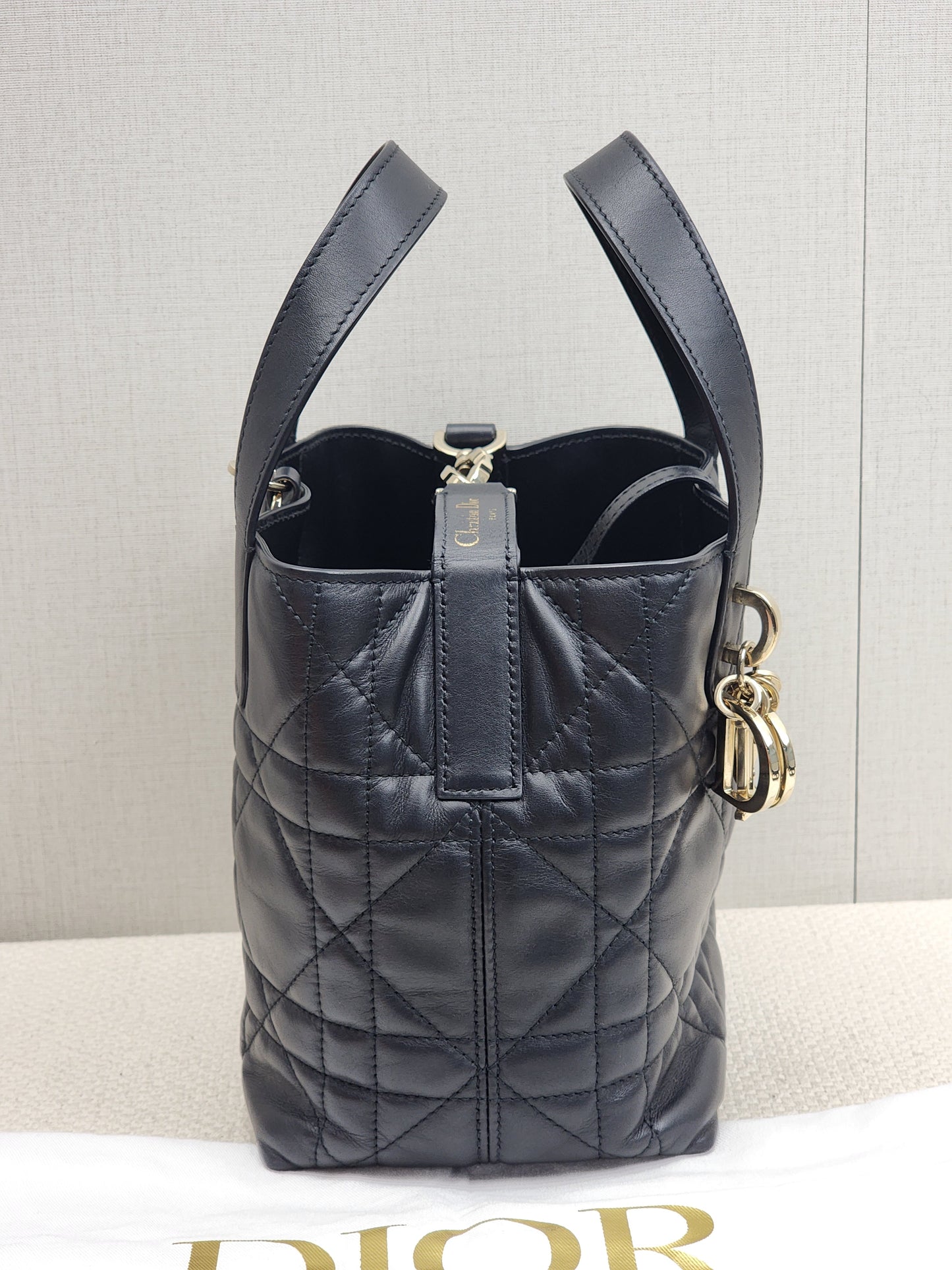 Dior Black Calfskin Small Toujours Vertical Tote Bag (LGHW)