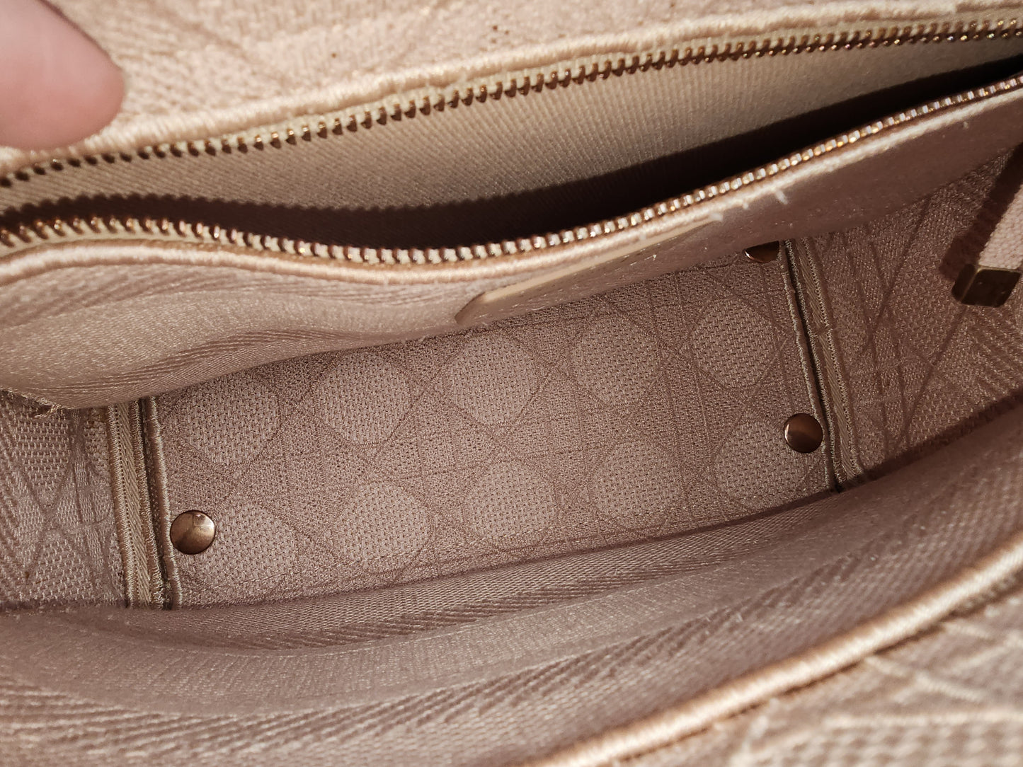 Dior Rosewood Medium Lady D-Lite (RGHW)
