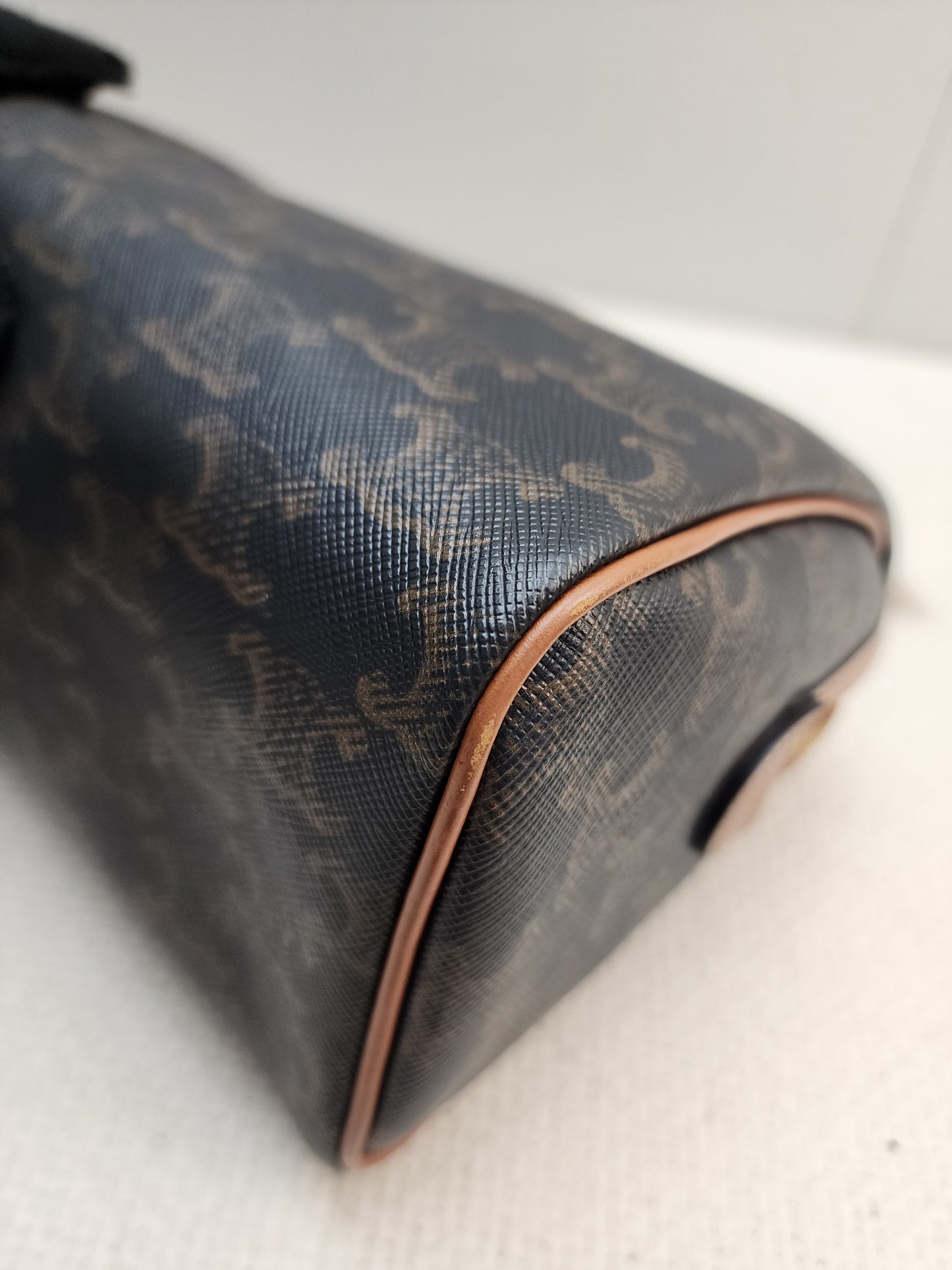Celine Triomphe Canvas Small Boston Bag