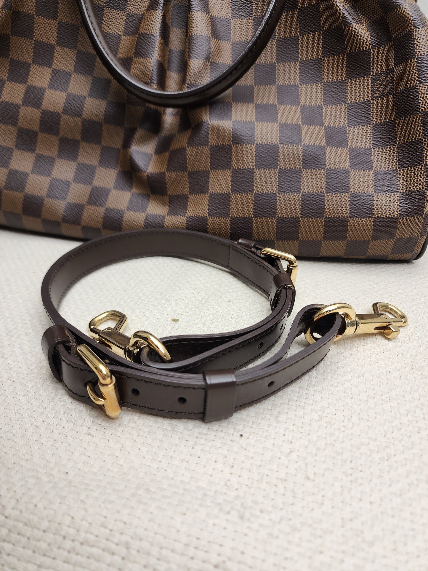 LV Damier Ebene Trevi GM