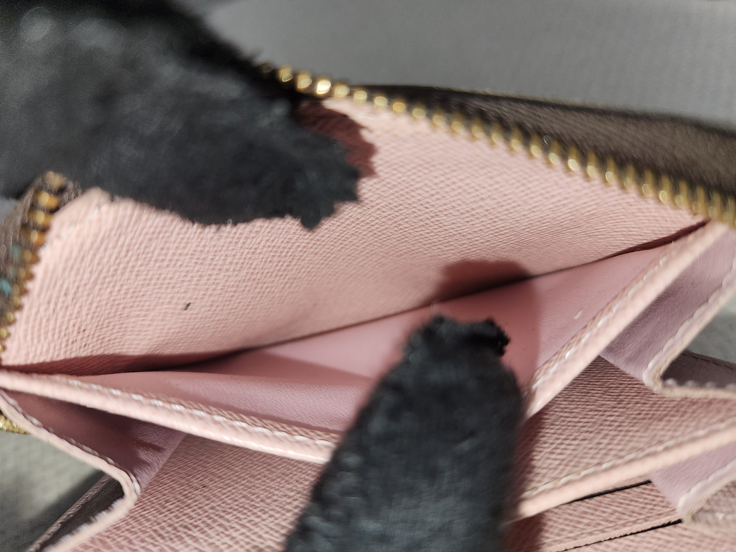 LV Damier Ebene Zippy Coin Purse