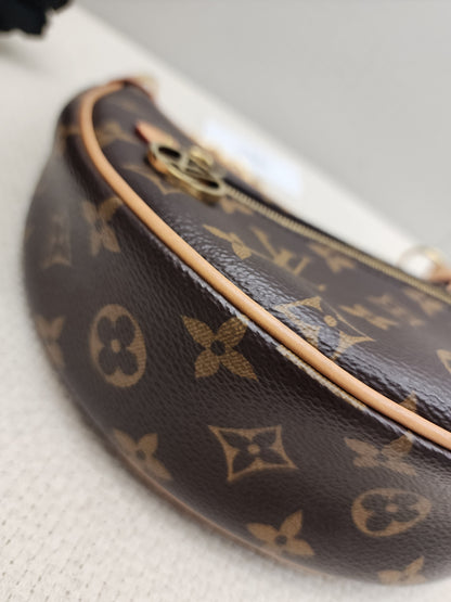 LV Monogram Loop