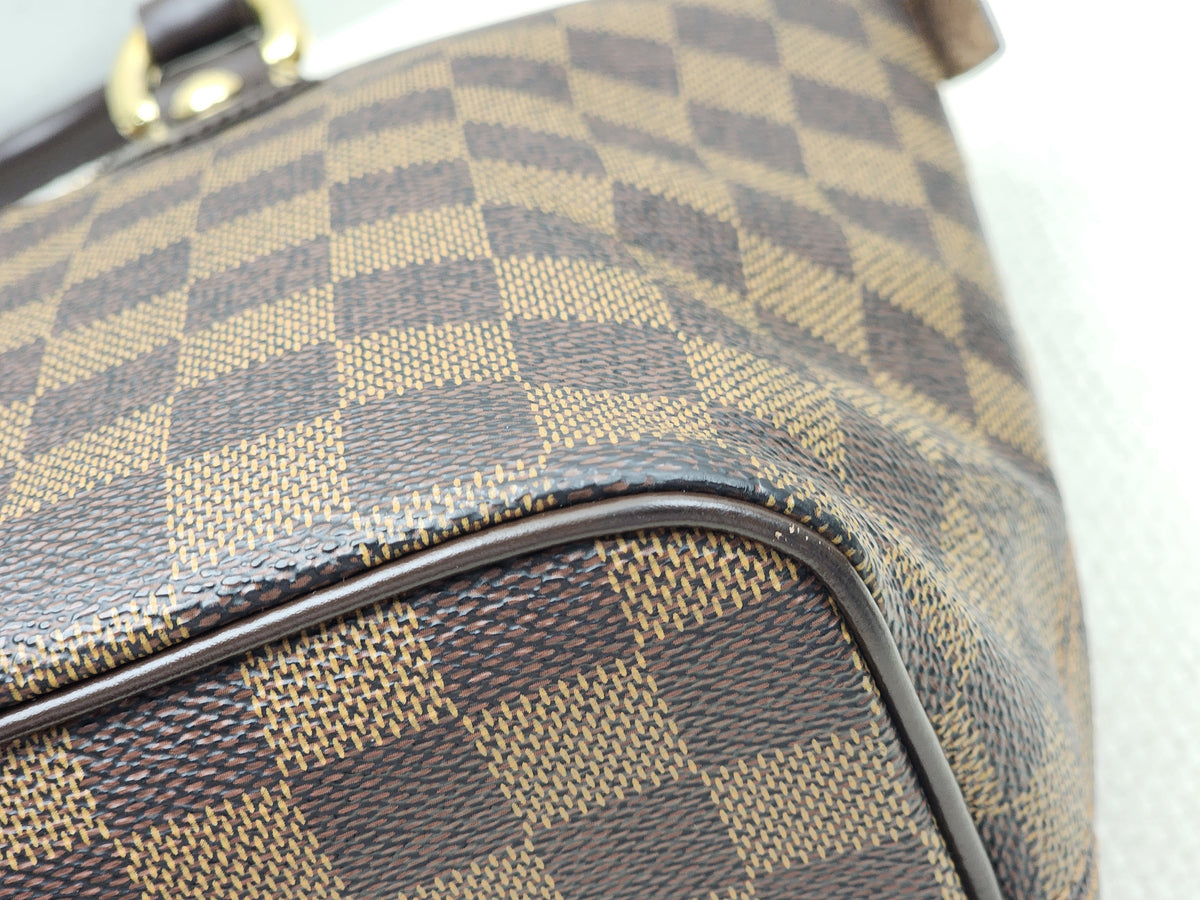 LV Damier Ebene Saleya PM