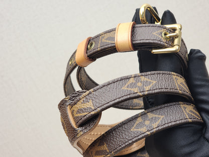 LV Monogram Strap