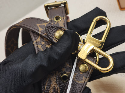 LV Monogram Strap
