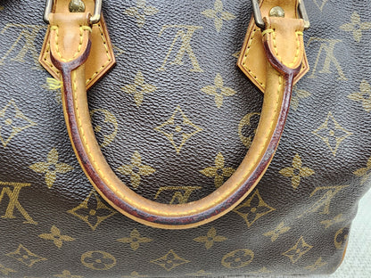 LV Monogram Speedy 25