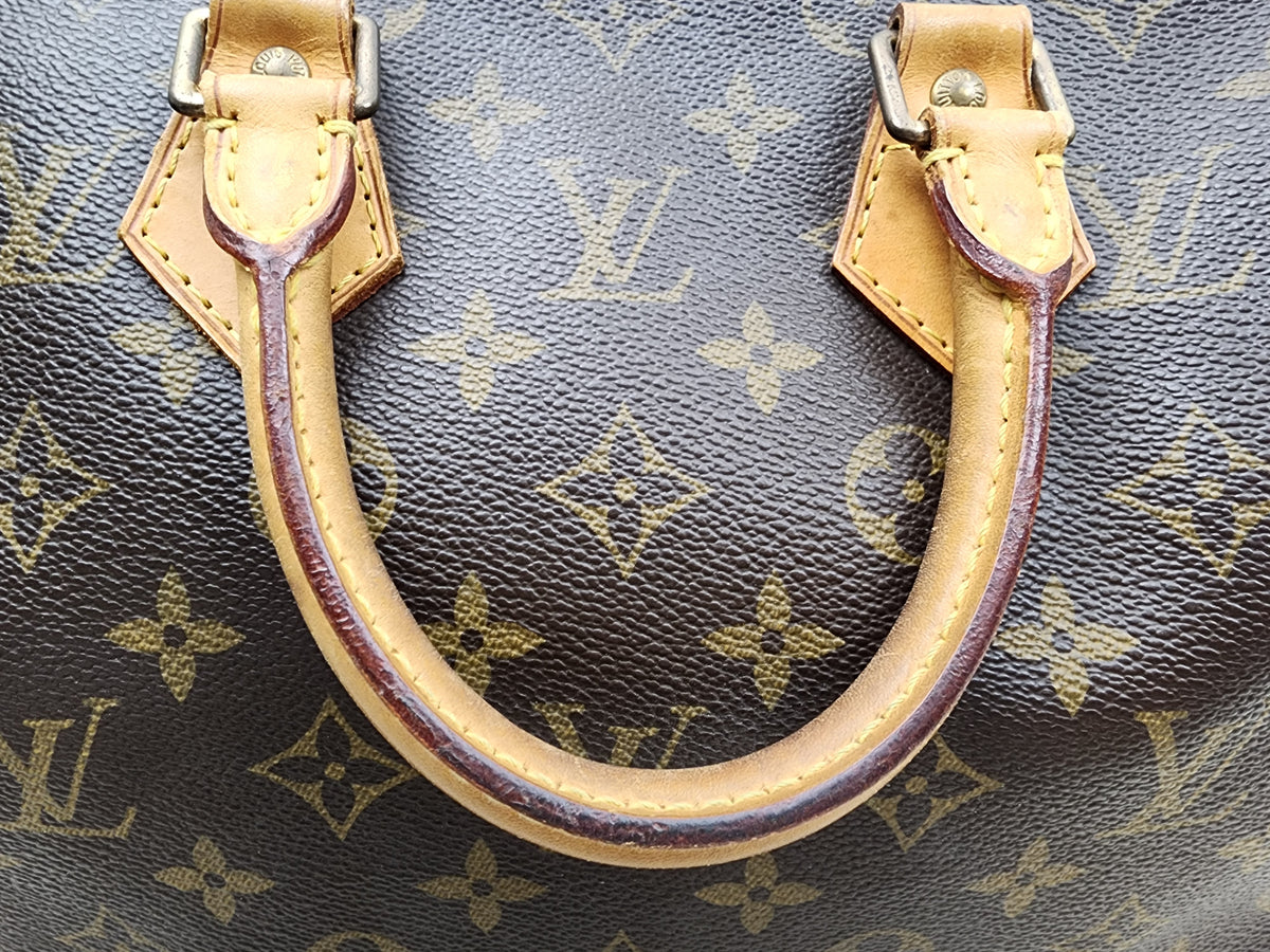 LV Monogram Speedy 25