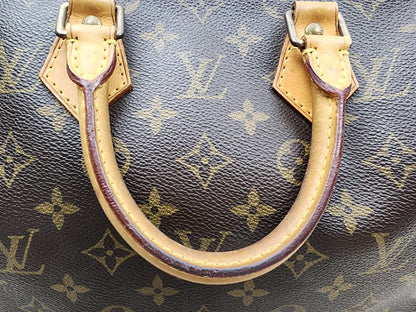 LV Monogram Speedy 25