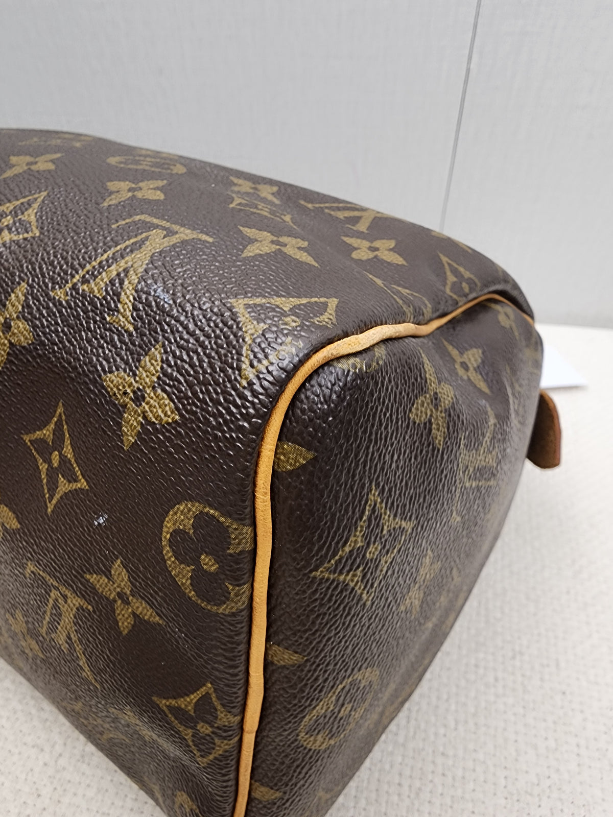 LV Monogram Speedy 25