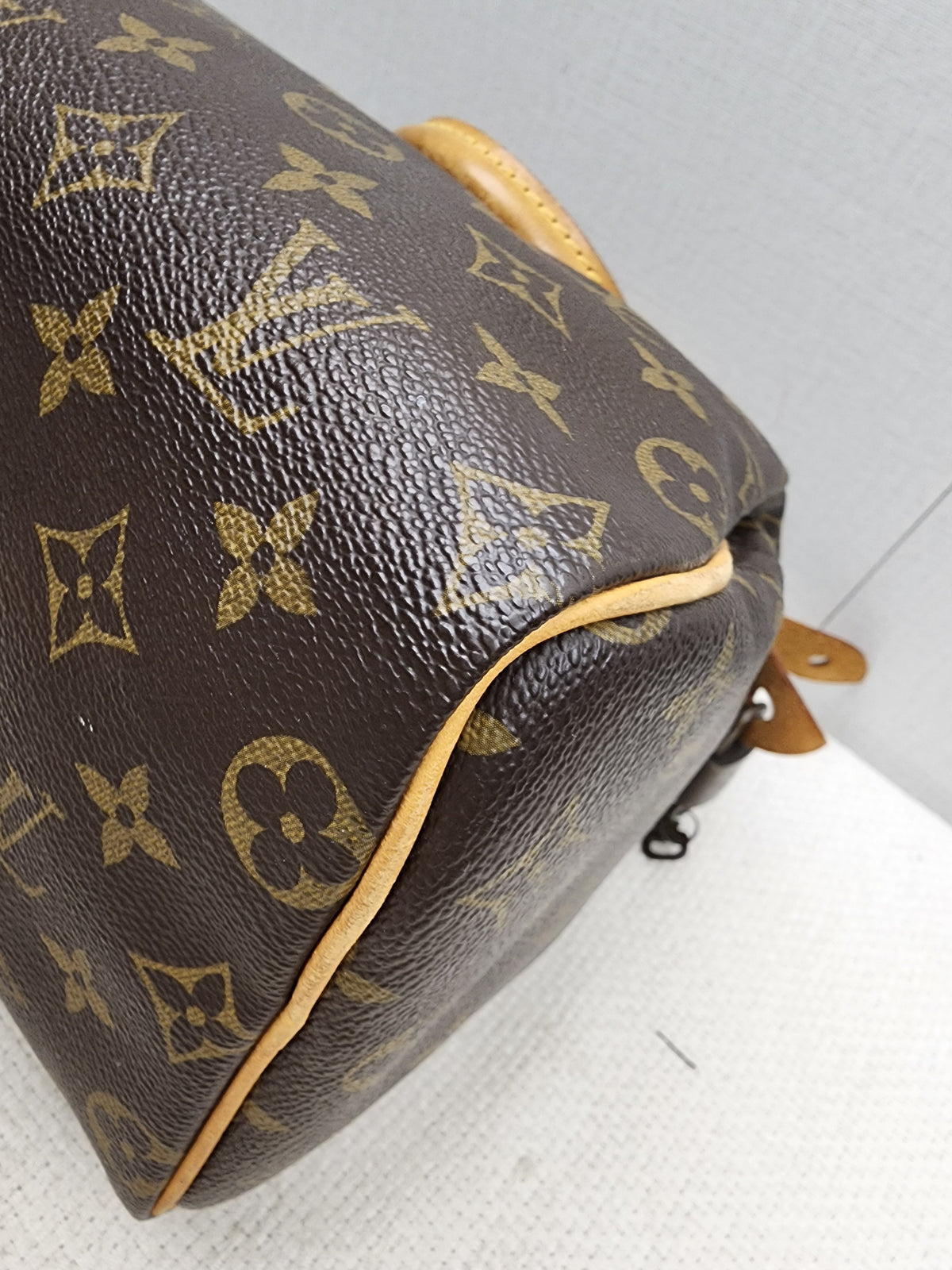LV Monogram Speedy 25