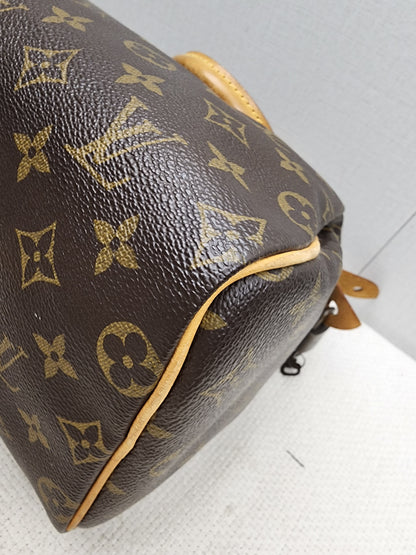 LV Monogram Speedy 25