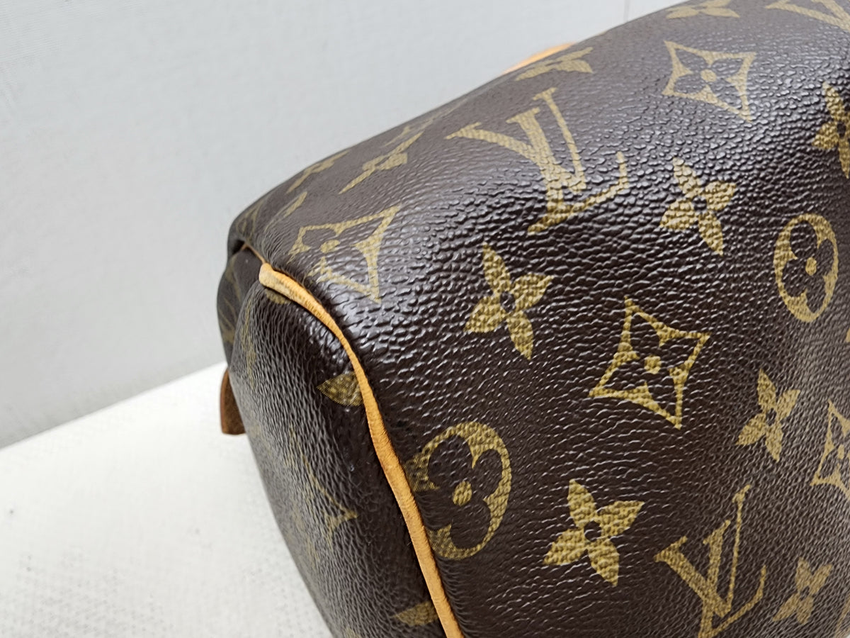 LV Monogram Speedy 25