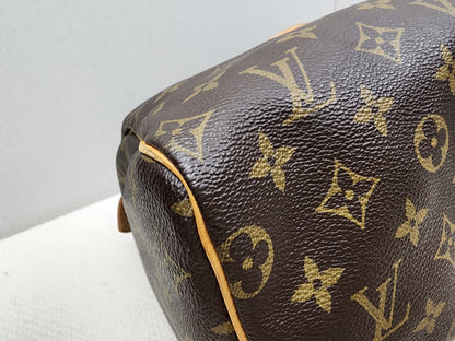 LV Monogram Speedy 25