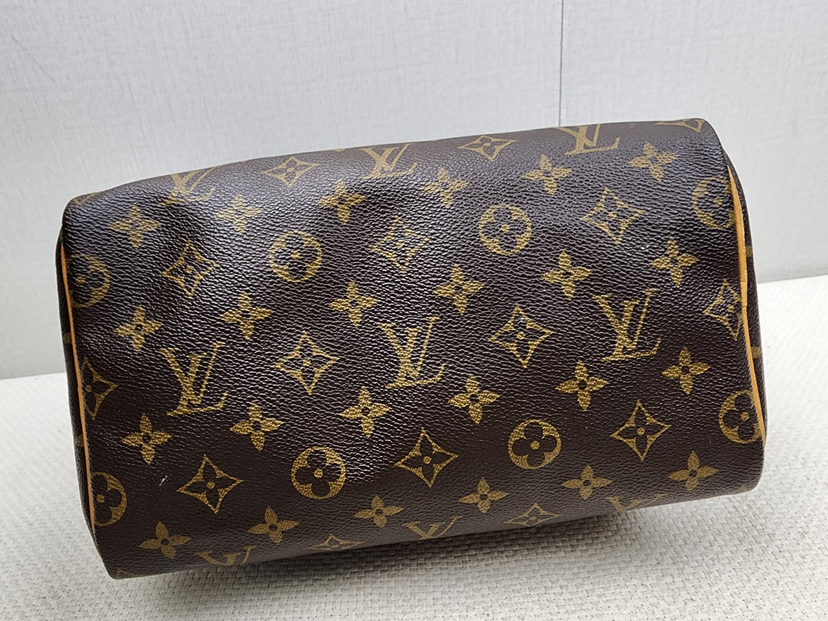 LV Monogram Speedy 25