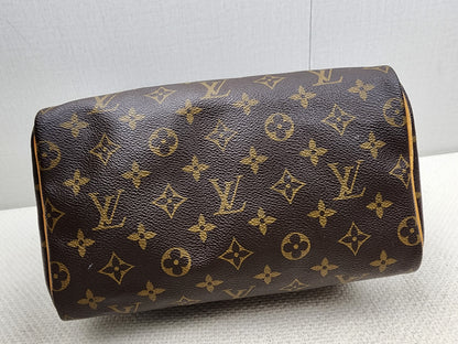 LV Monogram Speedy 25