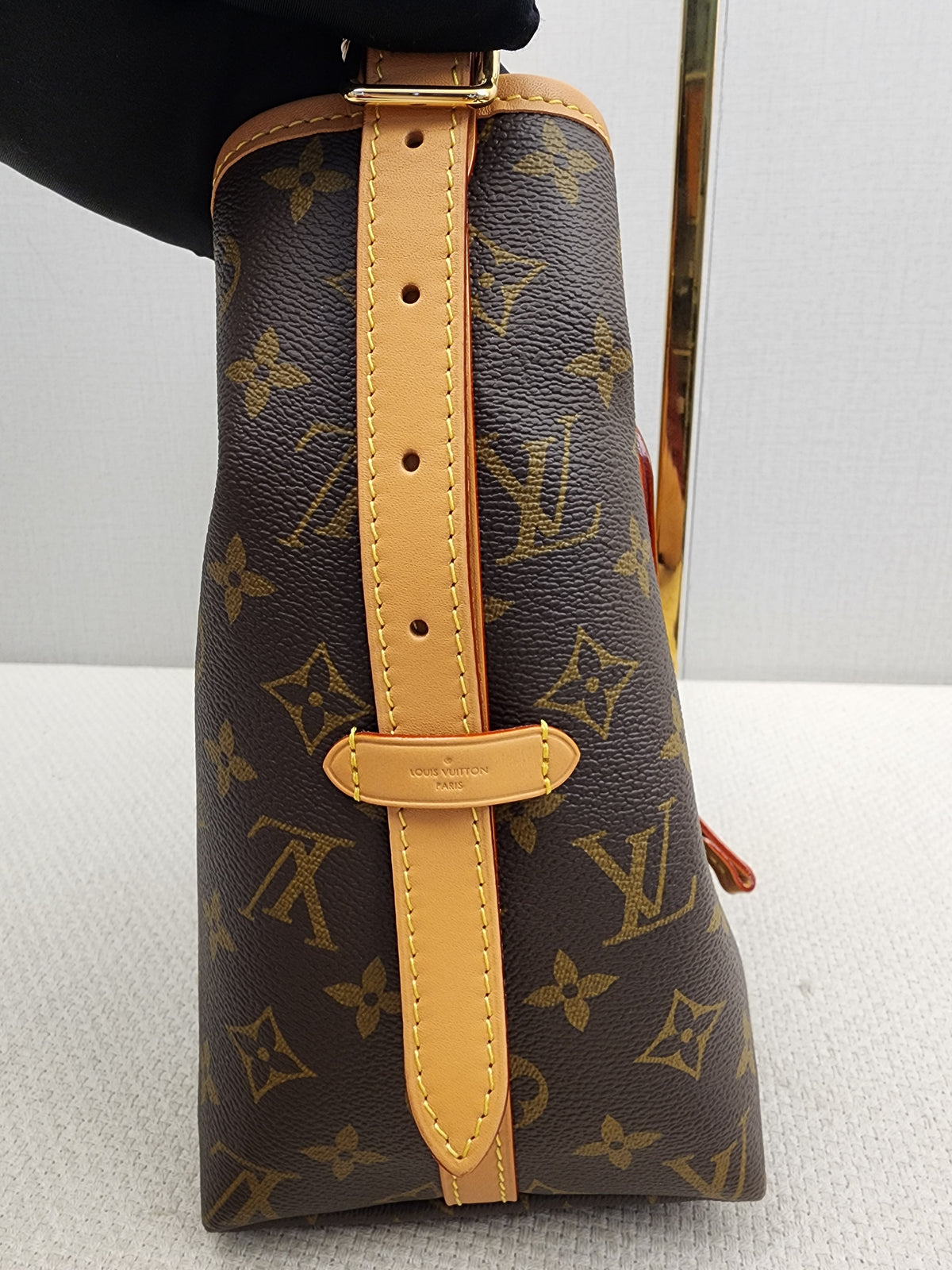 LV Monogram CarryAll PM