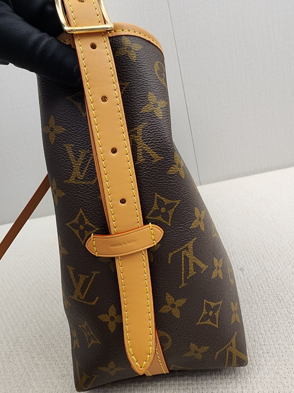 LV Monogram CarryAll PM