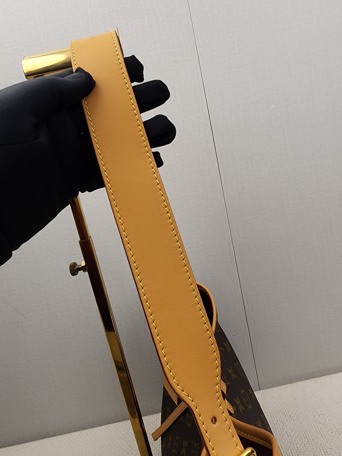 LV Monogram CarryAll PM
