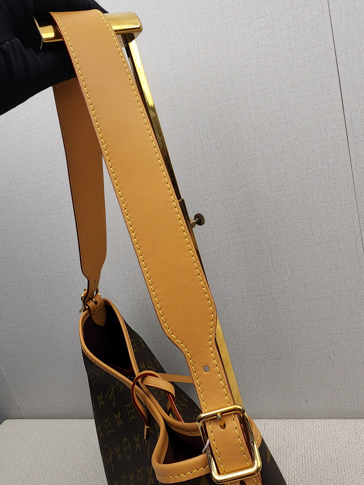 LV Monogram CarryAll PM