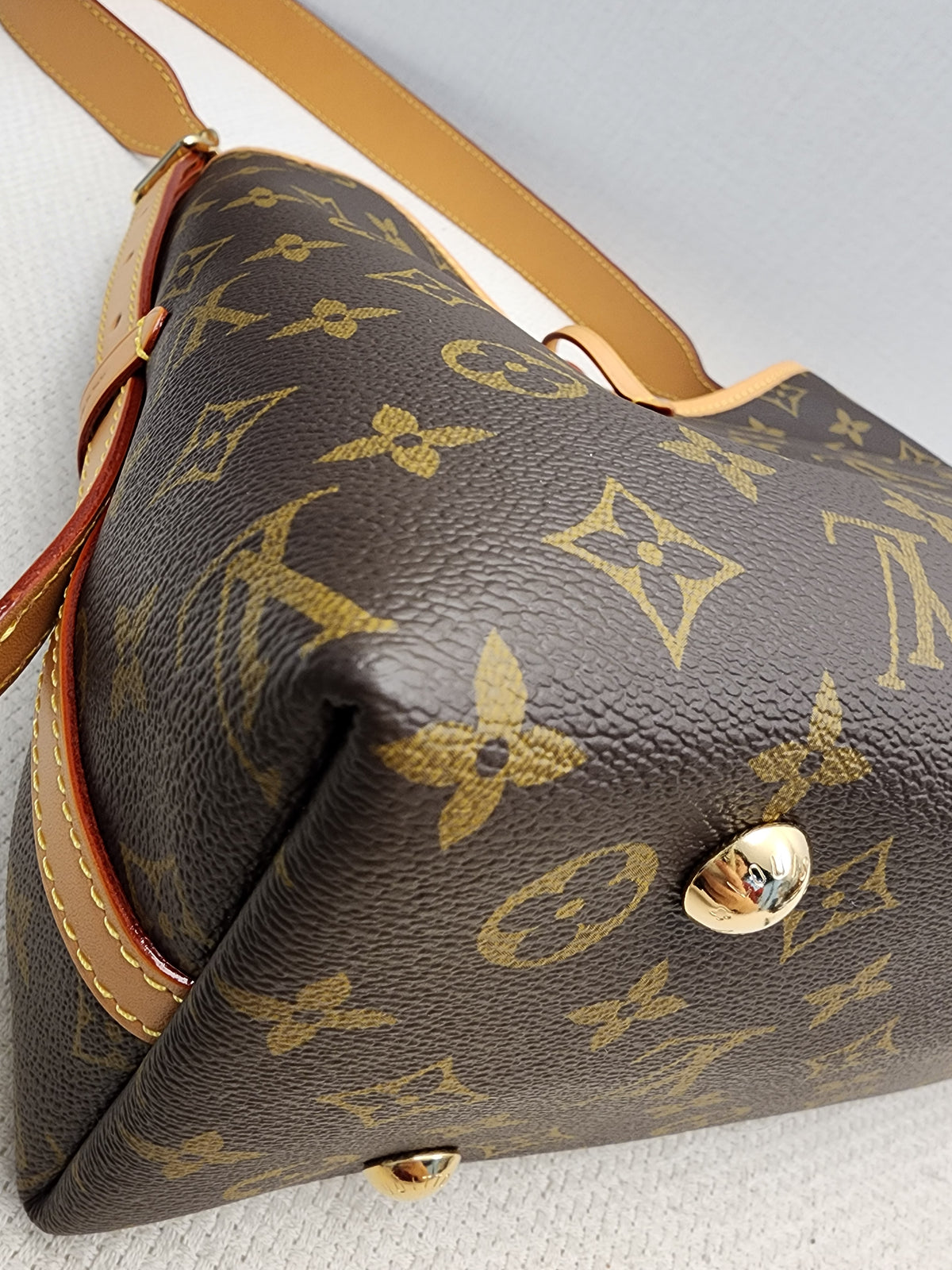 LV Monogram CarryAll PM