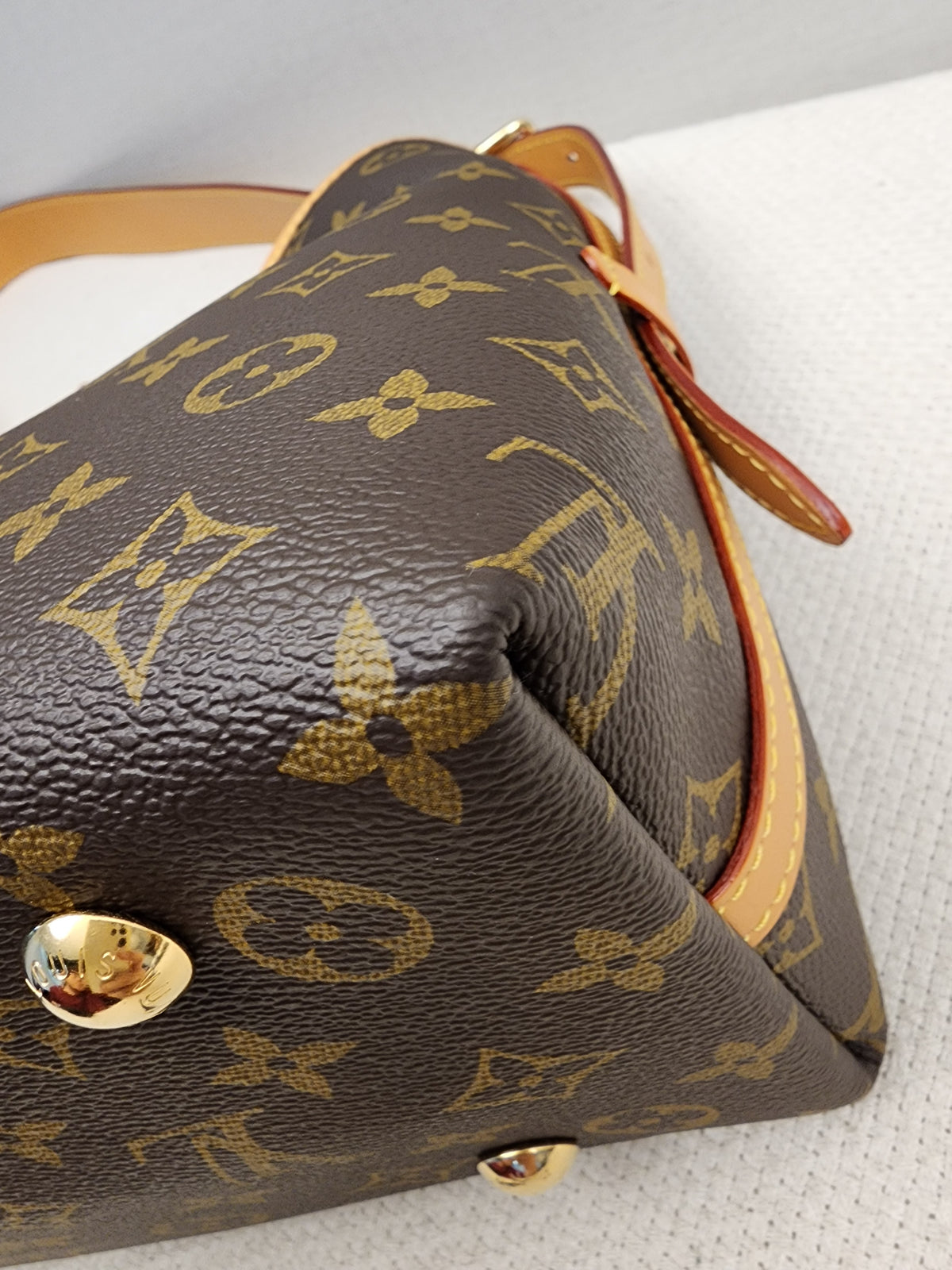 LV Monogram CarryAll PM