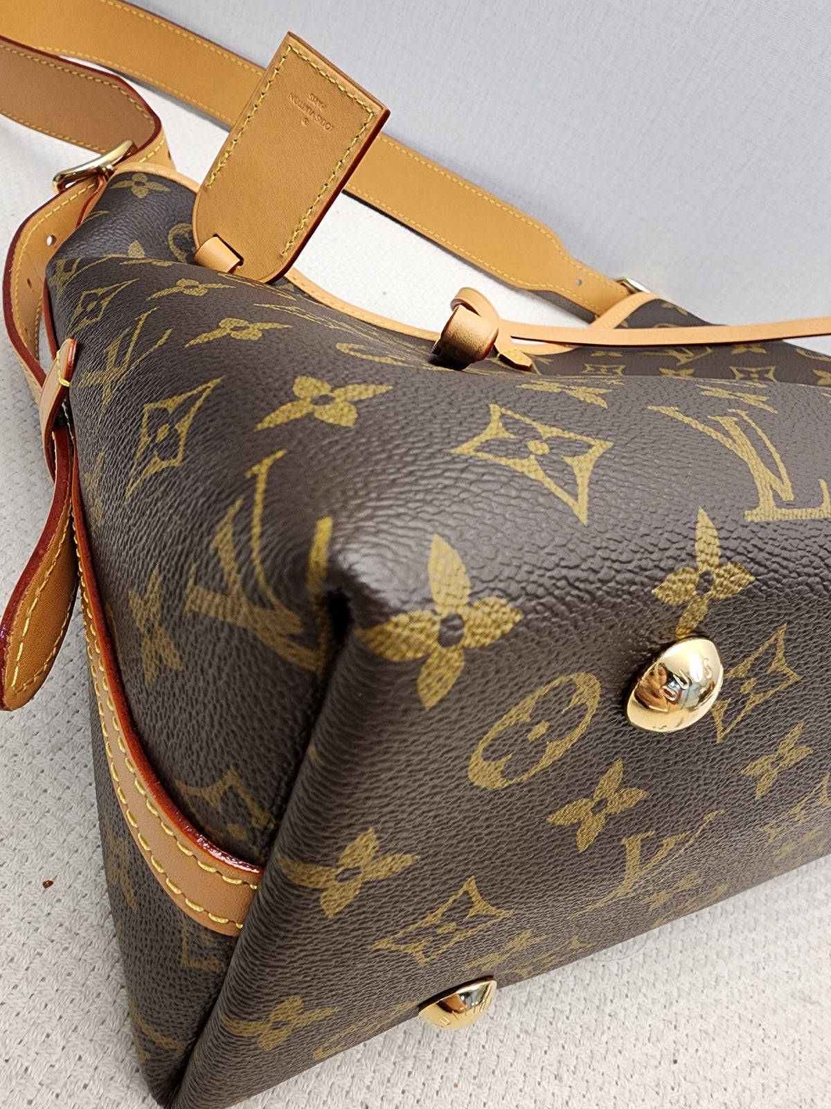 LV Monogram CarryAll PM