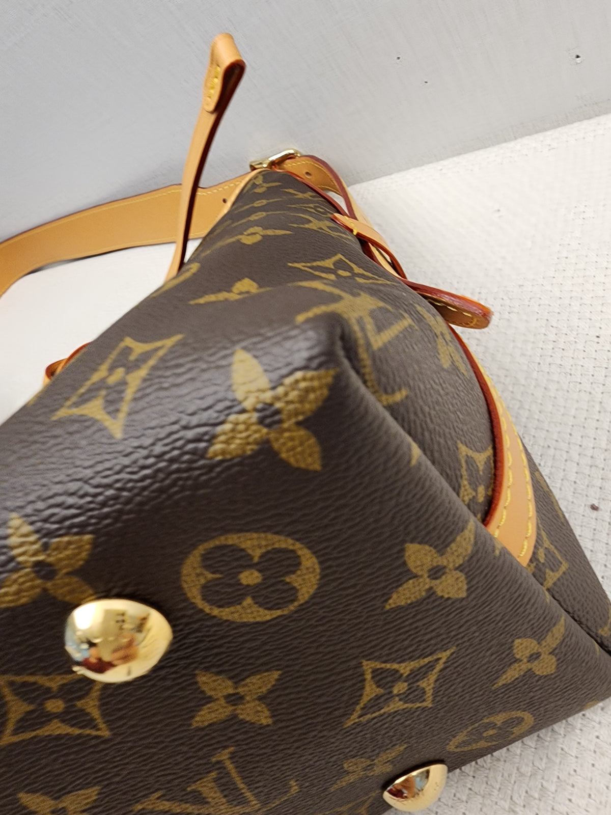 LV Monogram CarryAll PM
